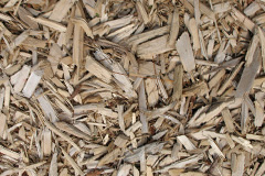 biomass boilers Kirkstyle
